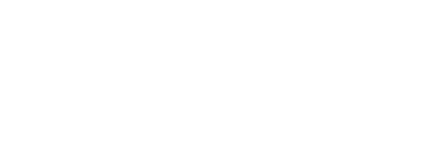 Auress Financial Management White Logo